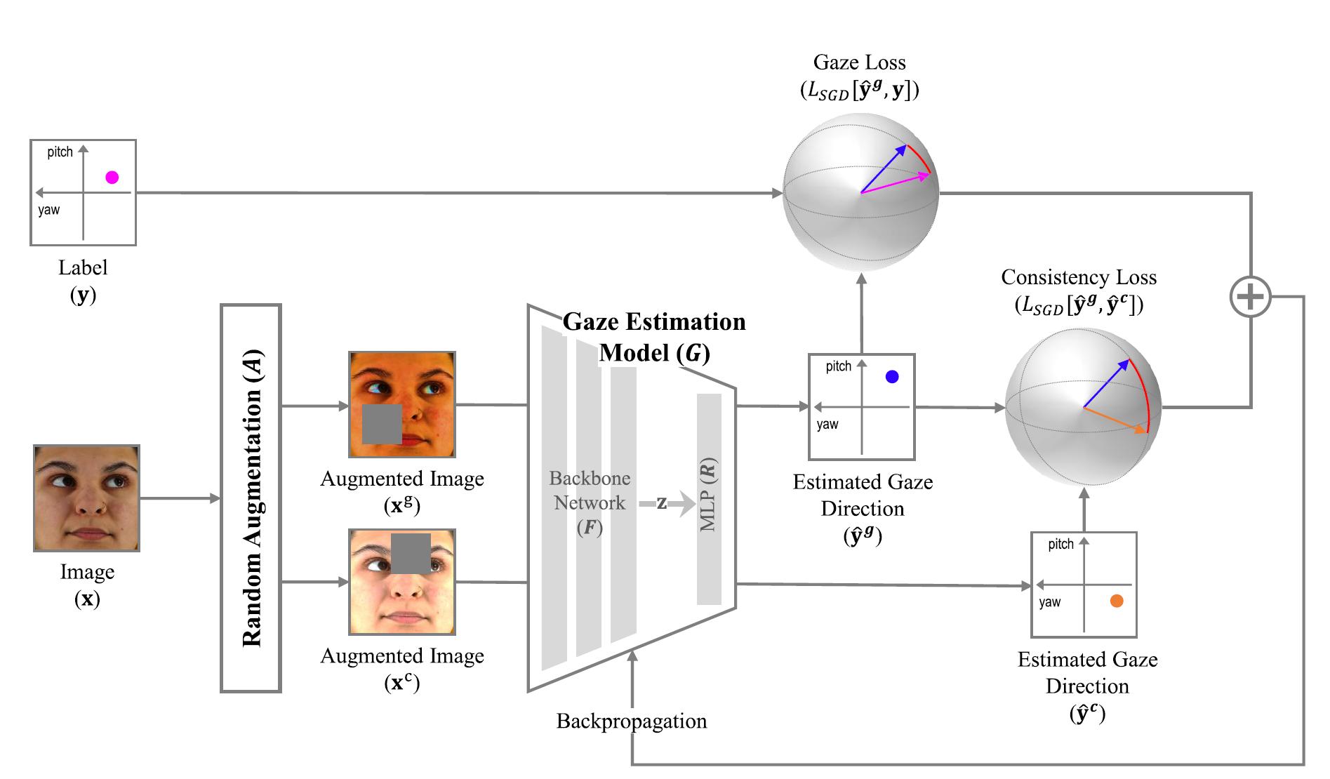 Gaze Estimation